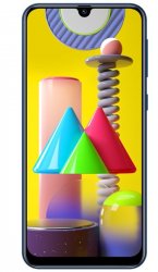 Samsung Galaxy M31 (SM-M315F)